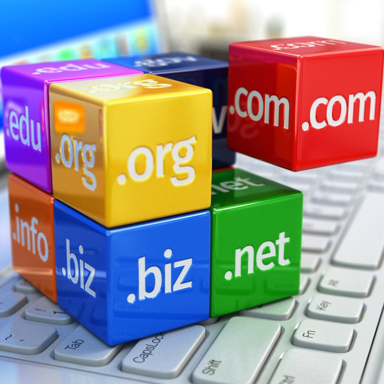 Wunsch-Domains registrieren lassen
