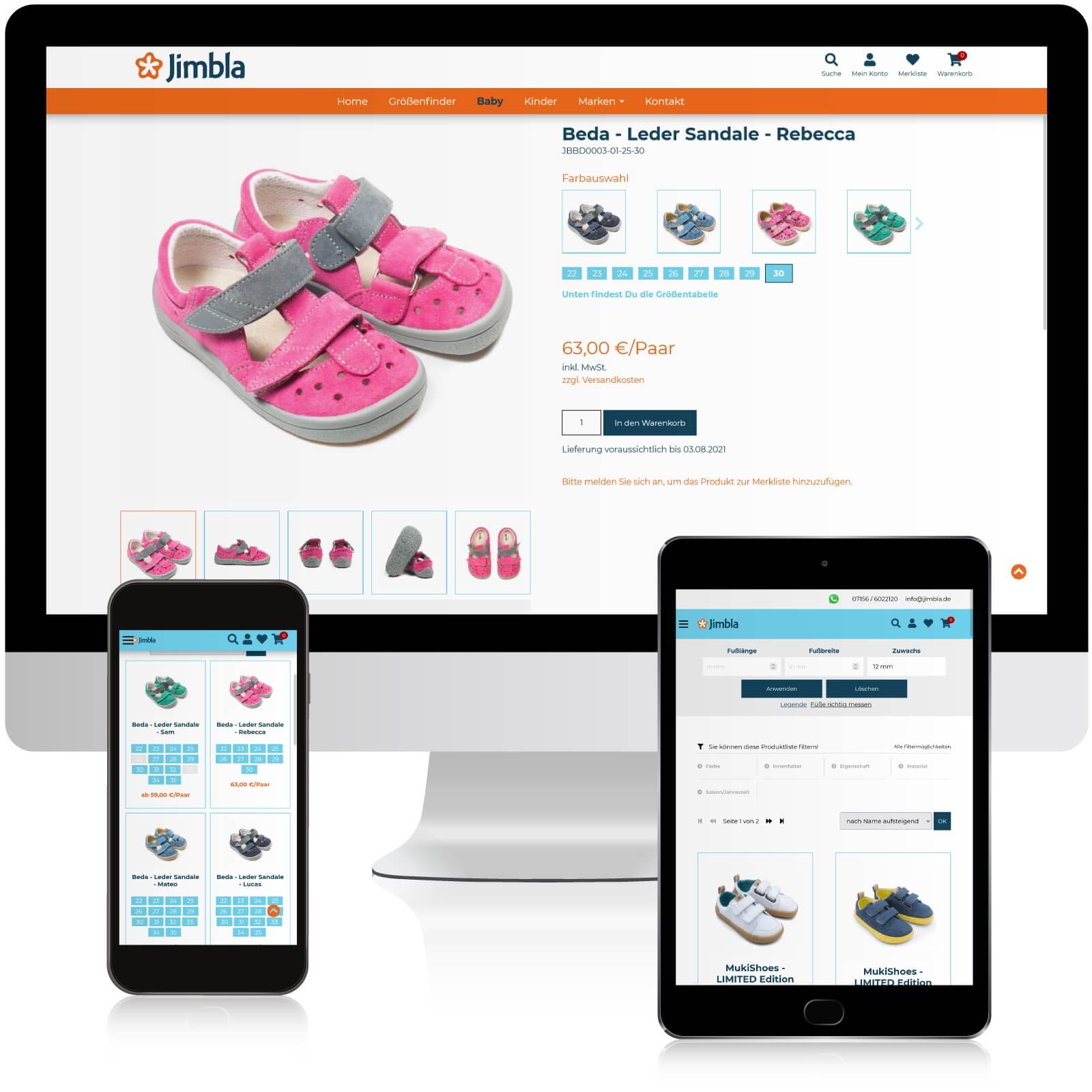 Kosten für mittelgroßen Onlineshop