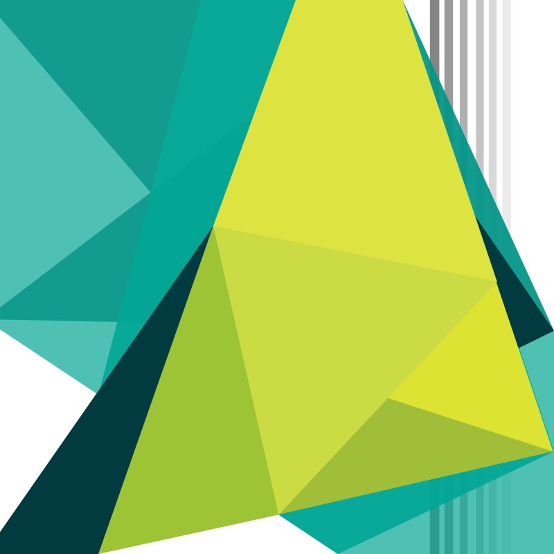 Die Designer unserer Agentur erstellen für Wordpress professionelle Themes