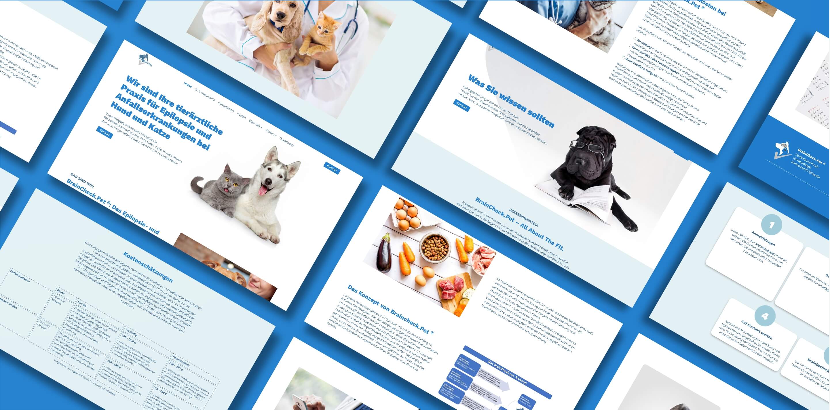 Design und Umsetzung einer modernen Webseite für einen Tierarzt