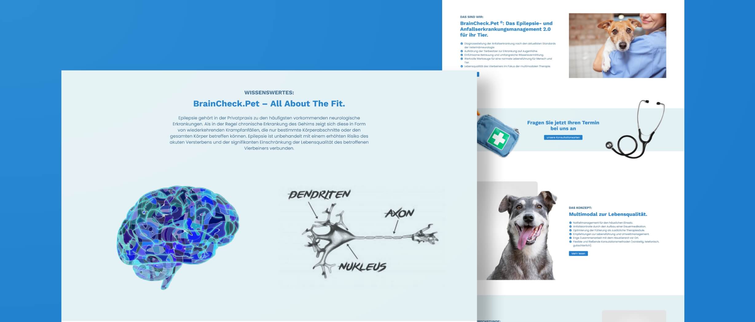 Moderne Webseite mit CMS und individuellem Layout aus unserer Agentur