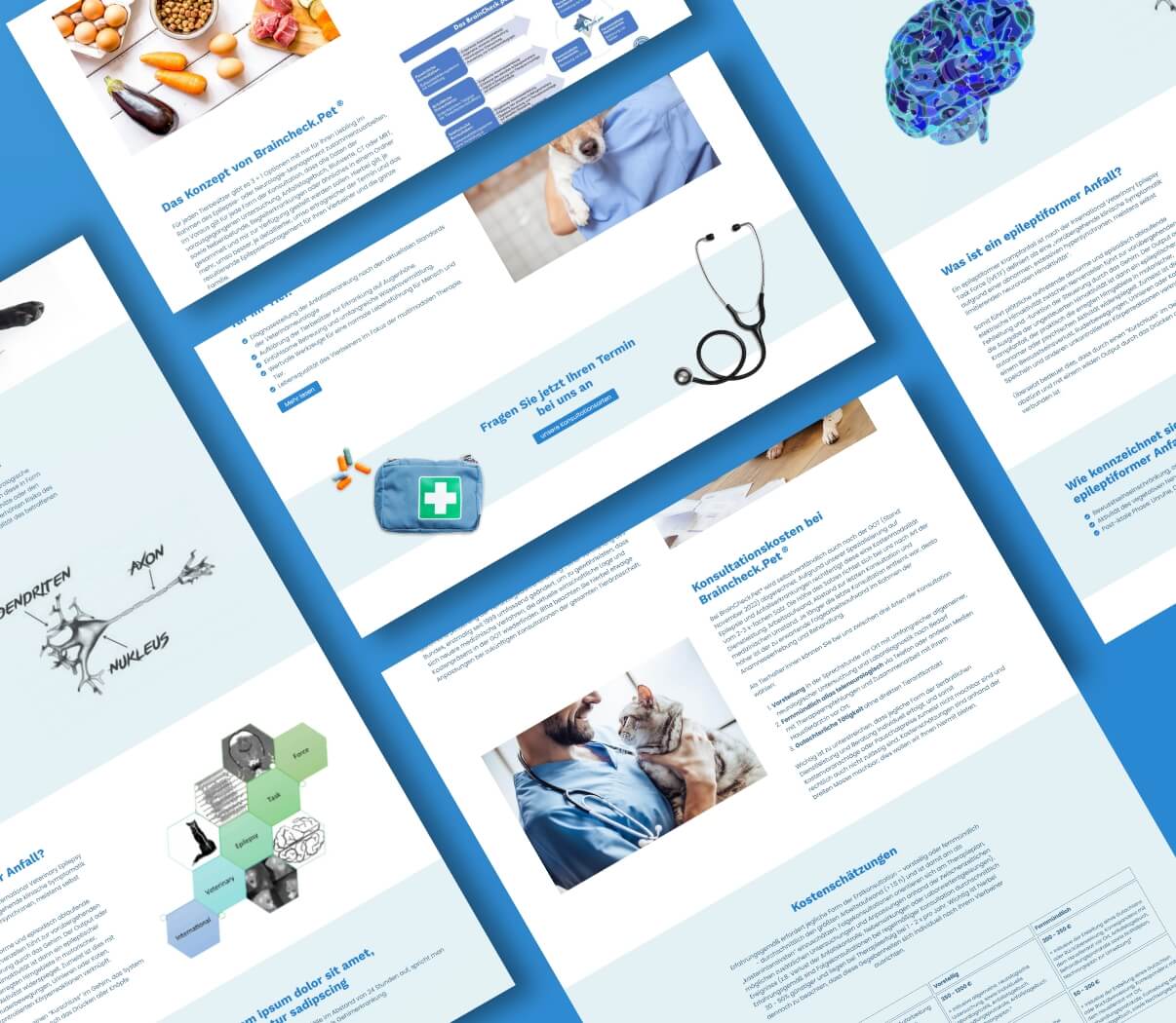 Wir sind Contao-Partner-Agentur für individuelle Webseiten und moderne Shops