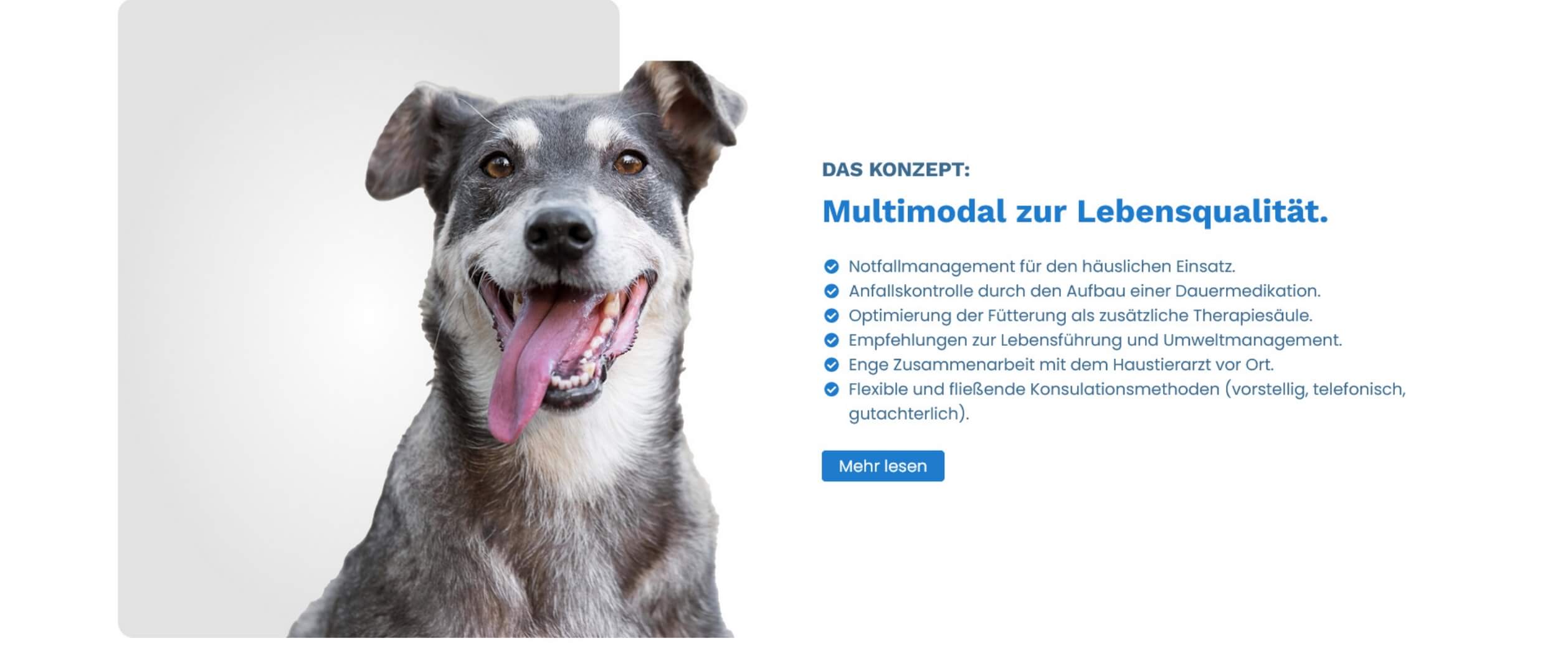 Website mit modernem Design in Contao realisiert