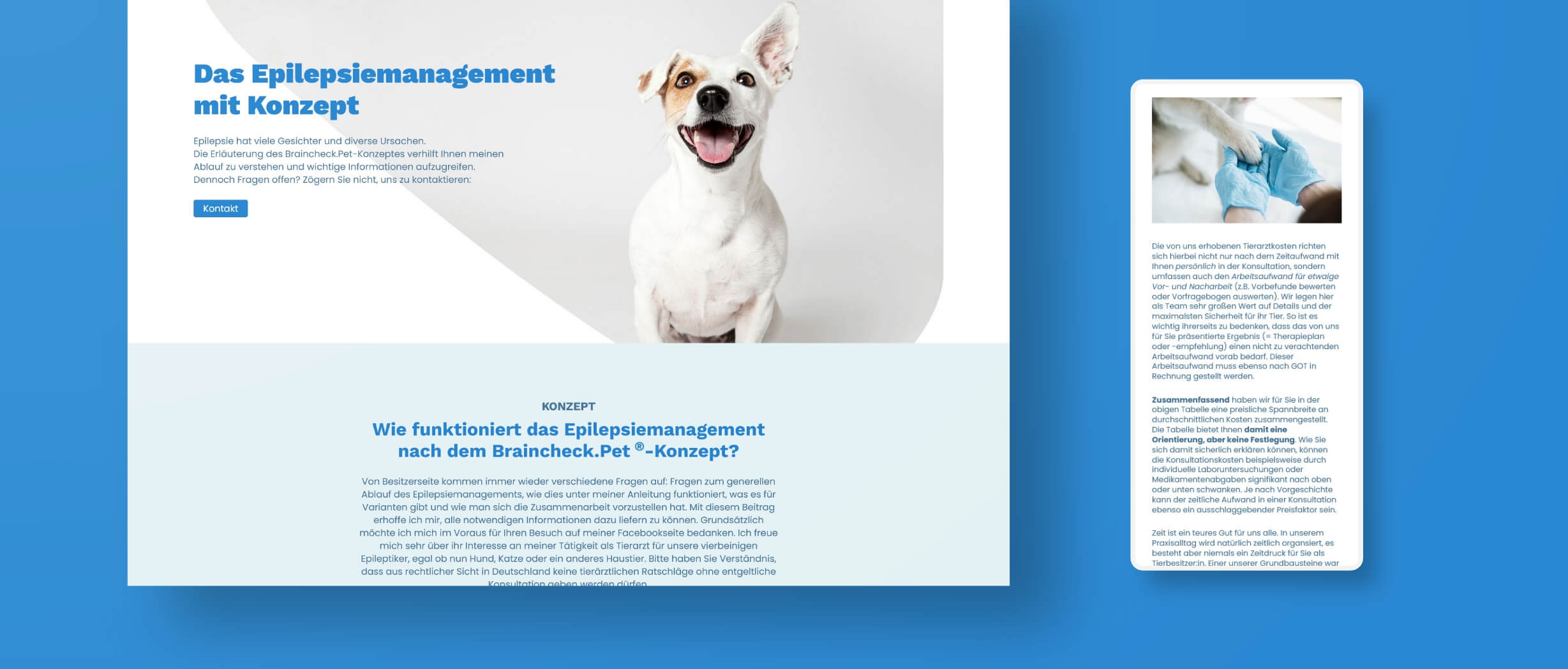 Modernes Webdesign mit individuellem Layout vom Profi
