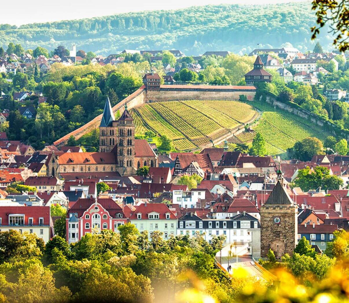 modernes Webdesign für Hotelbranche