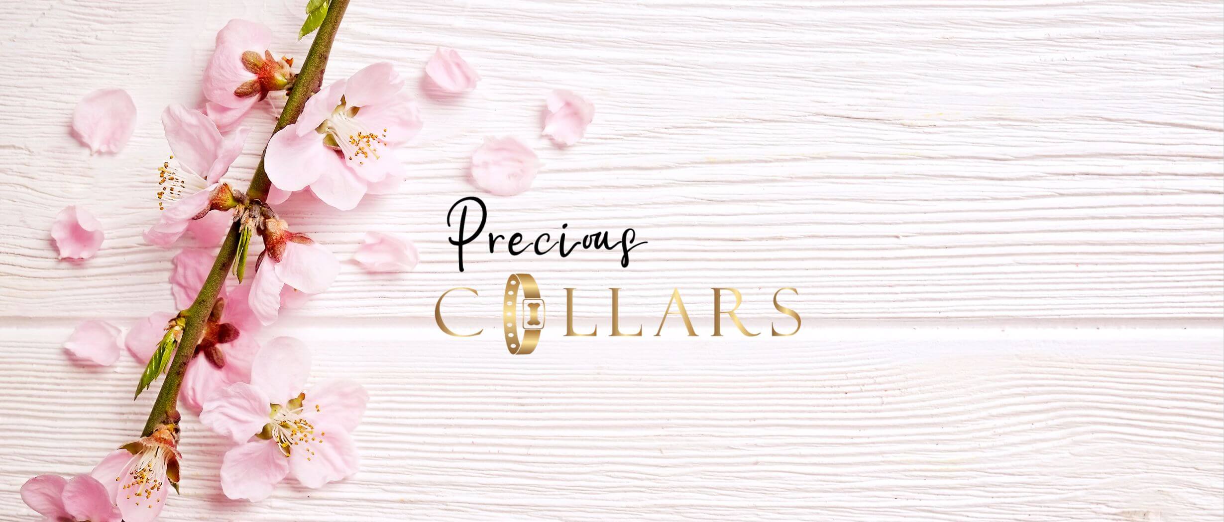 Onlineshop Precious Collars