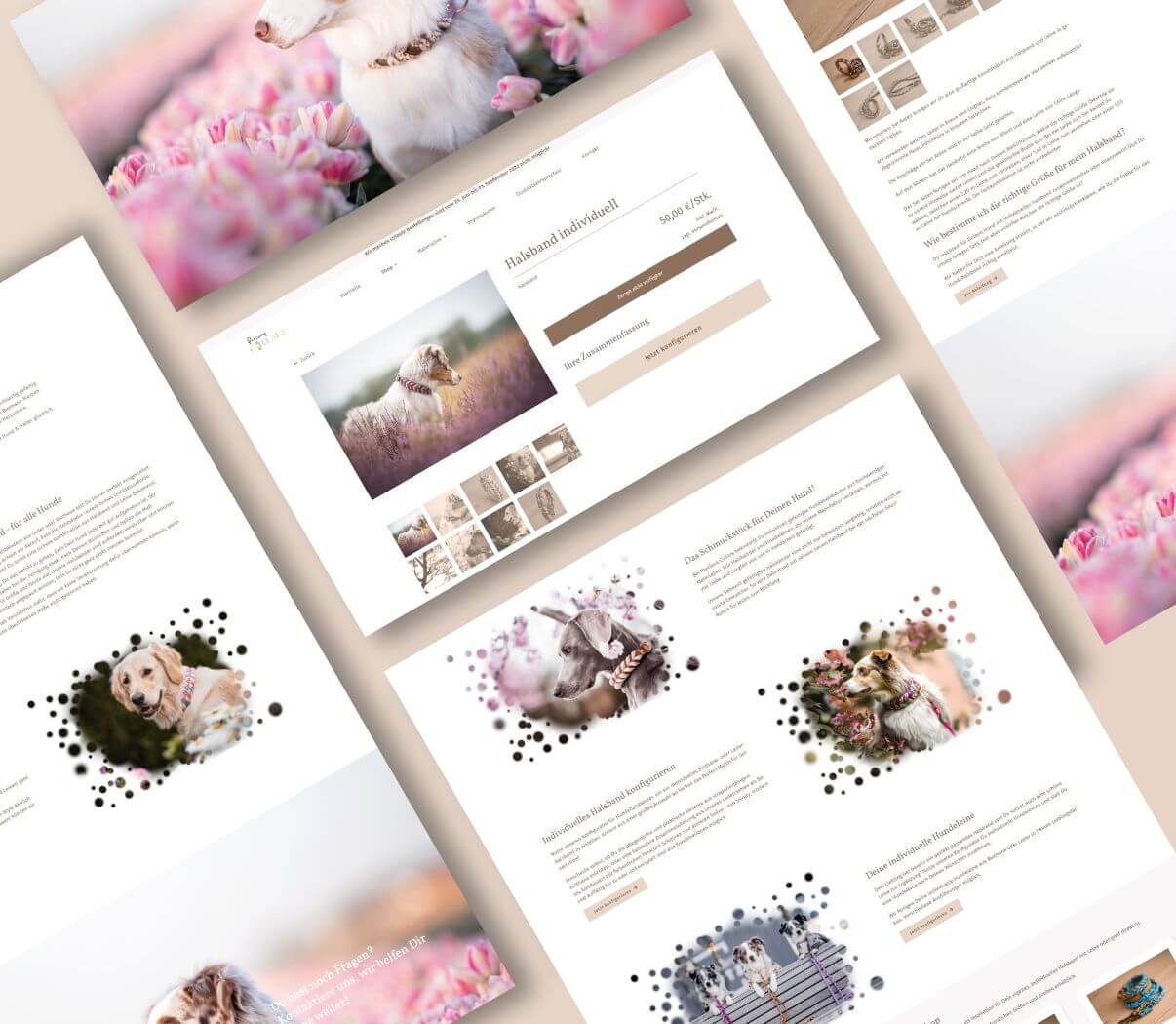 Individuelles Webdesign und Entwicklung eines Shopsystems