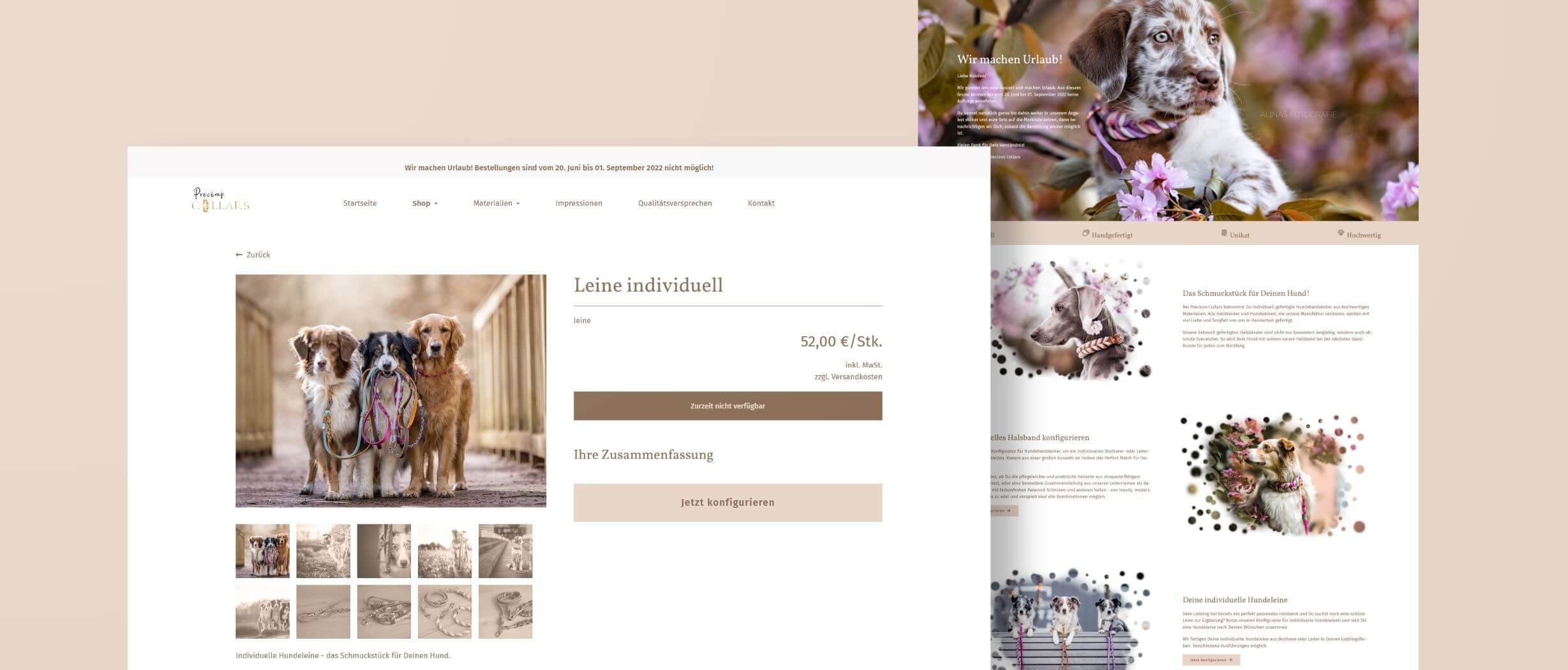 Webshop und Design für Hunde Accessoires