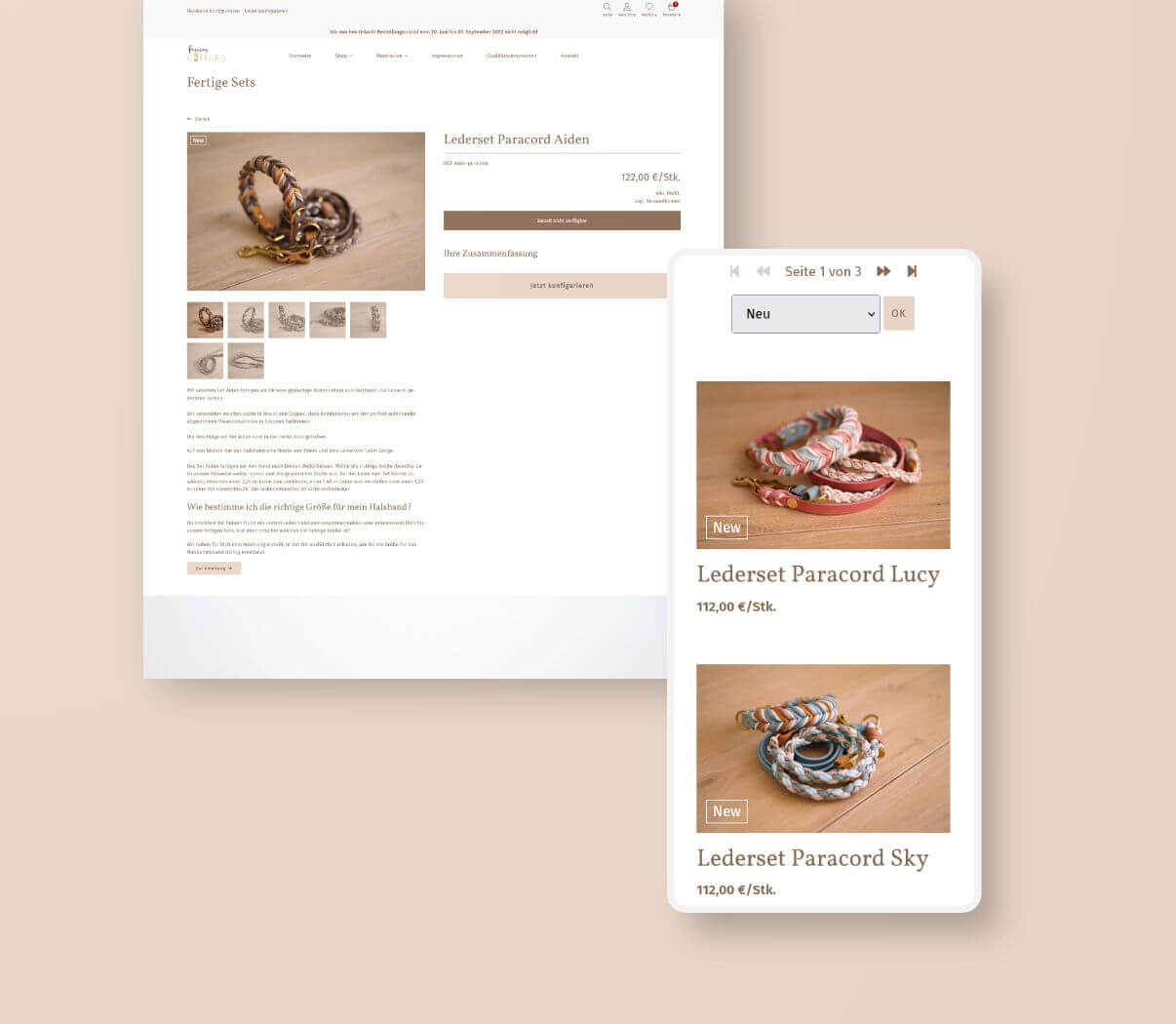 Entwicklung eines Shopsystems nach Wunsch
