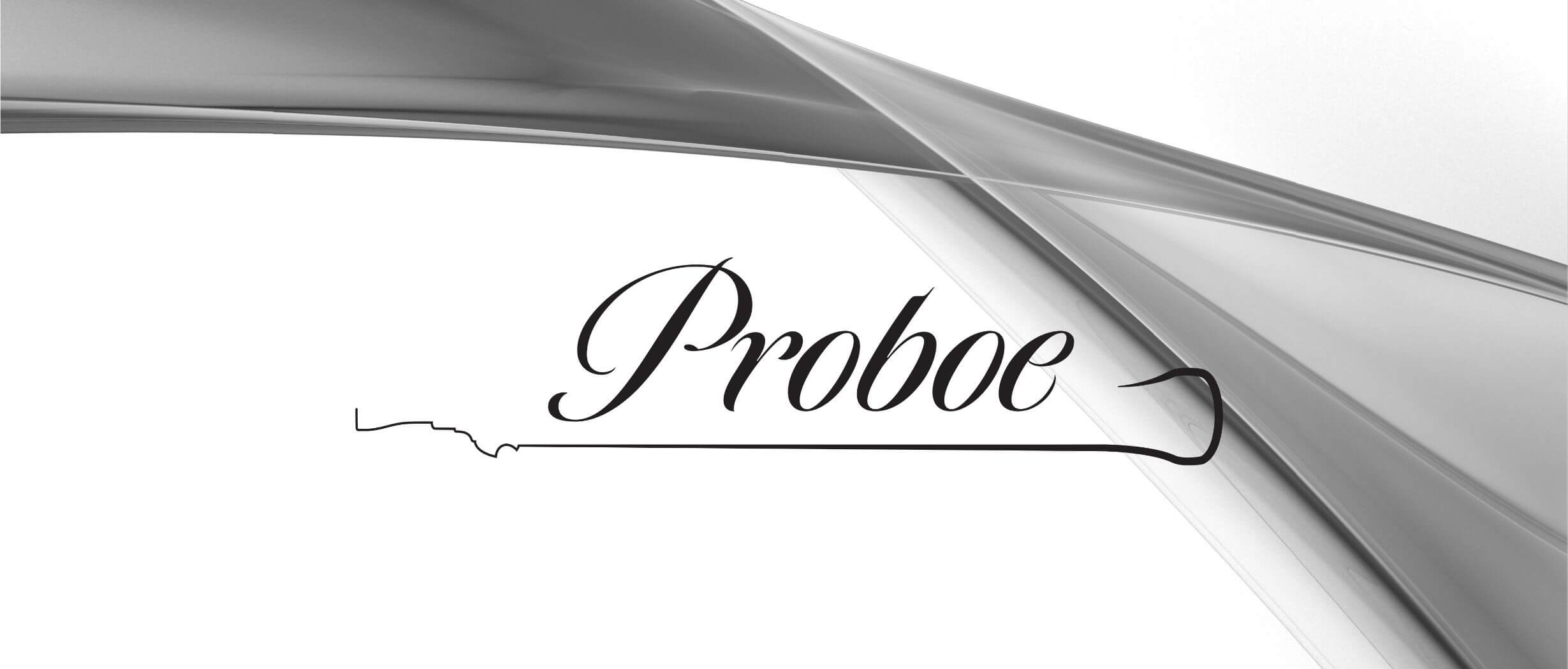 Logo von Proboe